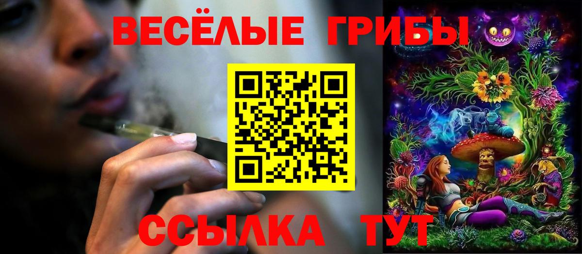 Псилоцибиновые грибы мухоморы  Вход с VPN  Котовск 