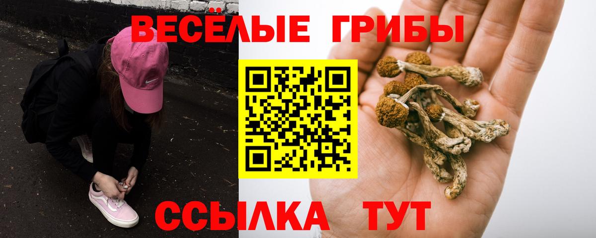 Псилоцибиновые грибы Magic Shrooms Котовск